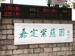 -嘉定紫藤园