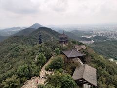 -杭州半山国家森林公园