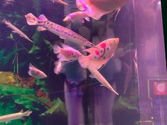 -常州海昌海洋探索馆