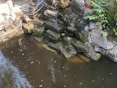-Kings party 高端轰趴会所(朝阳北路店)