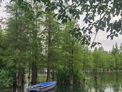 -白鹭湾湿地公园