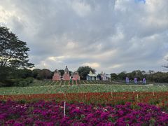 -松山湖梦幻百花洲