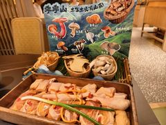 -季季山·云南野生菌火锅(上海首店)