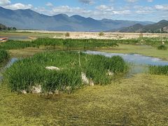 -泸沽湖国家级风景名胜区走婚桥