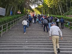 -上海佘山国家森林公园西佘山园