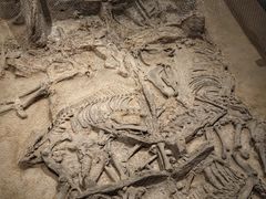 -北京大葆台遗址博物馆