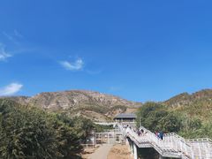 -大青山野生动物园