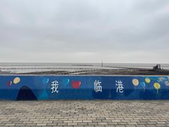 -南汇嘴观海公园