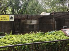 -南宁市动物园