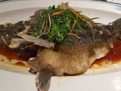 -红棉中餐厅·广州海航威斯汀酒店
