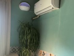 -伊斯麦尔丝路·新派菜(沙子口店)