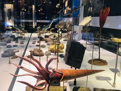 -墨尔本博物馆(Melbourne Museum)