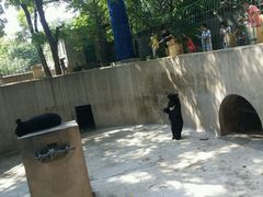 android_upload_pic-保定市动物园
