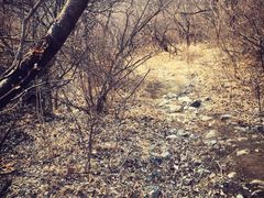 西山国家森林公园-北京西山国家森林公园