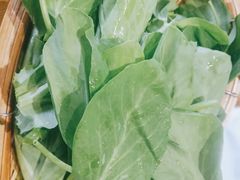 豌豆尖-阿婆情腊排骨火锅(饮玉巷店)