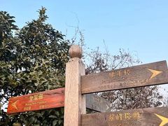 -杭州半山国家森林公园