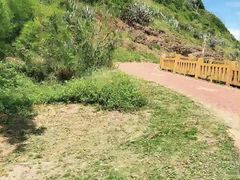 -漳州滨海火山岛自然生态风景区