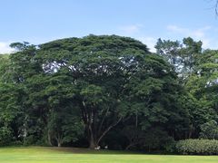 -中国科学院西双版纳热带植物园