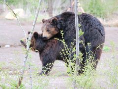 -沈阳森林动物园