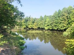 -紫金山山顶公园
