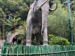 -栾川竹海野生动物园