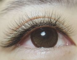 -HANFAN韩范·全国连锁