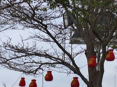 -三亚南山文化旅游区