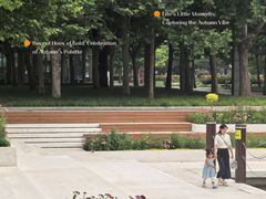 -大望京公园