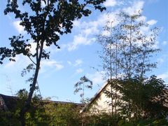 -竹泉村旅游度假区