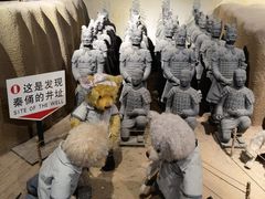 -成都泰迪熊博物馆