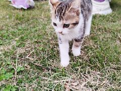 -共青国家森林公园-售票处