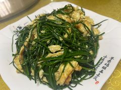 -煲来饱去冷水鱼