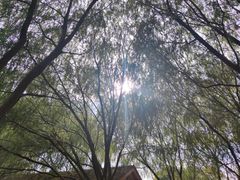 -长兴太湖图影湿地文化园