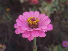 -白塘生态植物园