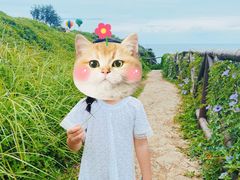 -漳州滨海火山岛自然生态风景区