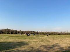 -上海海湾国家森林公园