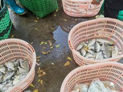 -侨港海滩