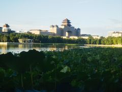 -莲花池公园