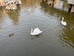 -合肥野生动物园