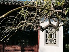 -秋霞圃