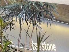 -tea'stone (万象天地店)