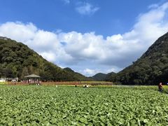 -广州市石门国家森林公园