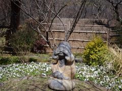 -无锡梅园公园