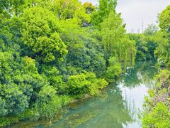 -贡湖湾湿地公园