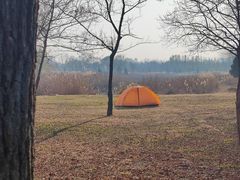 -鉴湖国家城市湿地公园