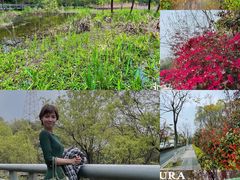 -西湖风景区-江洋畈生态公园
