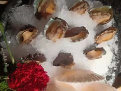 鲍鱼-九鼎轩火锅大排挡