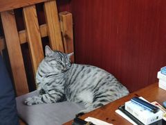 -老北京褡裢火烧·任记