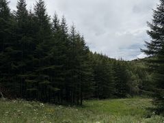 -驼梁风景区
