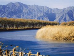 -野鸭湖国家湿地公园